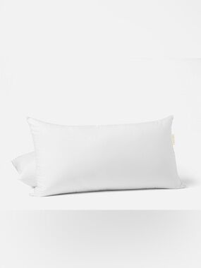 Coyuchi Down Pillow